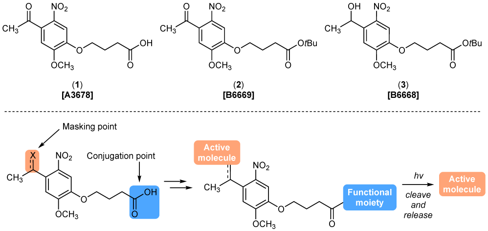 o-Nitrobenzyl Photolabile Bifunctional Linkers