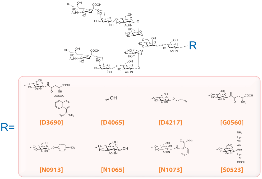 D3690, D4065, D4217, G0560, N0913, N1065, N1073, S0523