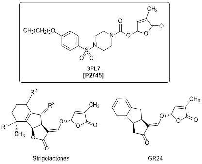 P2745