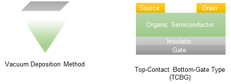 Fabrication method and evaluation of vacuum-deposited [T2233]-based OFETs 