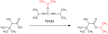 T3123