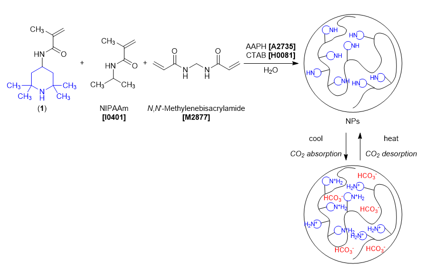 Methacrylamide with TMP Group as a Side Chain