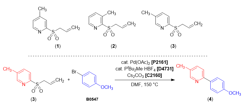 2-Allylsulfonyl Pyridines for Cross Coupling