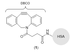 Modified HSA for Click Chemistry