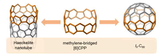 メチレン架橋[6]CPP