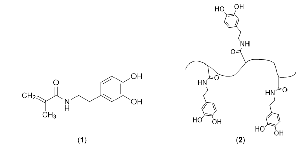 A Monomer Used for Developing Mussel-Inspired Dry/Wet Adhesives