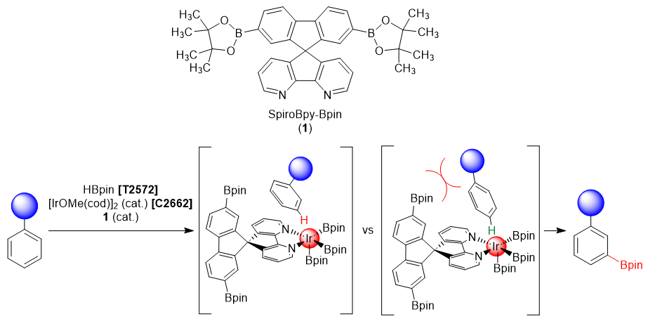 SpiroBpy-BPin: Ligand for meta-Selective Catalytic C-H Borylation