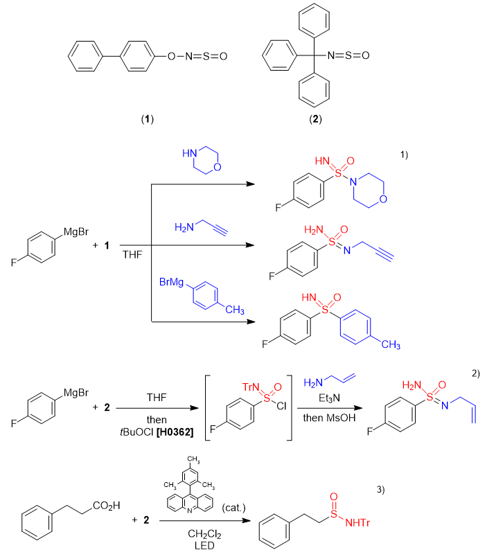 Thionylimide Derivatives for Synthesis of Sulfonimidamides