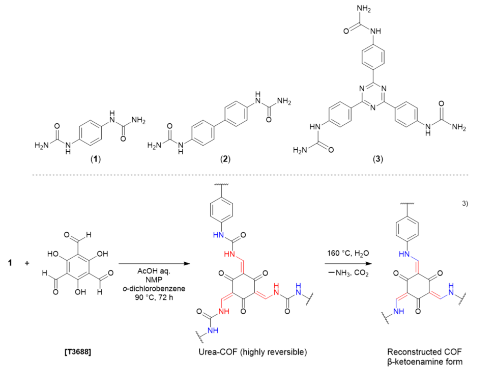 Diurea and Triurea Derivatives for the Synthesis of Highly Crystalline COFs