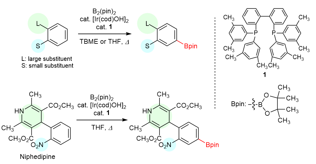 Ligand for C-H Borylation of Substituted Benzenes