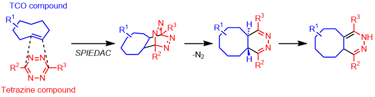 Biotin-PEG3-Dz