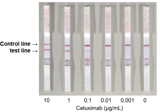 Easy and quick detection of the αGal epitope present in the therapeutic antibody by using the immunochromatography method