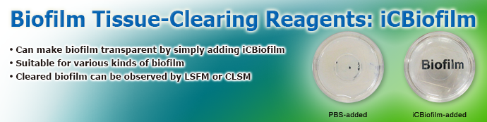 Biofilm-Clearing Reagent: iCBiofilm