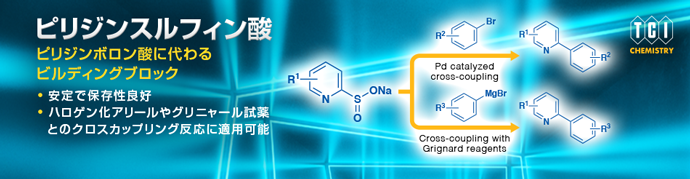 ピリジンスルフィン酸 ― ピリジンボロン酸に代わるビルディングブロック