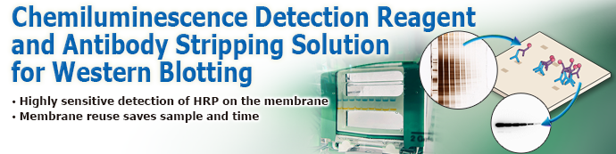 Chemiluminescence Detection Reagent and Antibody Stripping Solution for Western Blotting