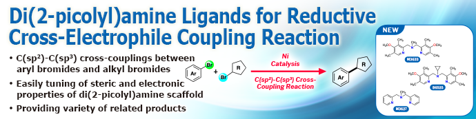 Di(2-pycolyl)amine Ligands for Reductive Cross-Electrophile Coupling Reaction