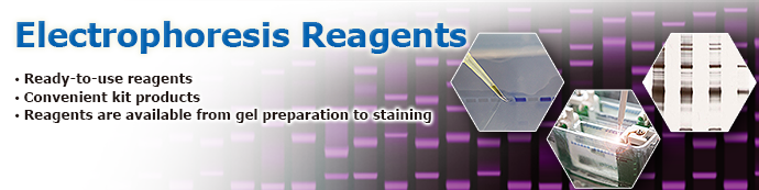 Electrophoresis Reagents