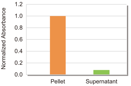 Figure 4. Quantification of exosomes isolated using E1601 by ELISA