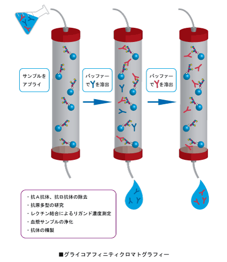グライコアフィニティクロマトグラフィー | 東京化成工業株式会社