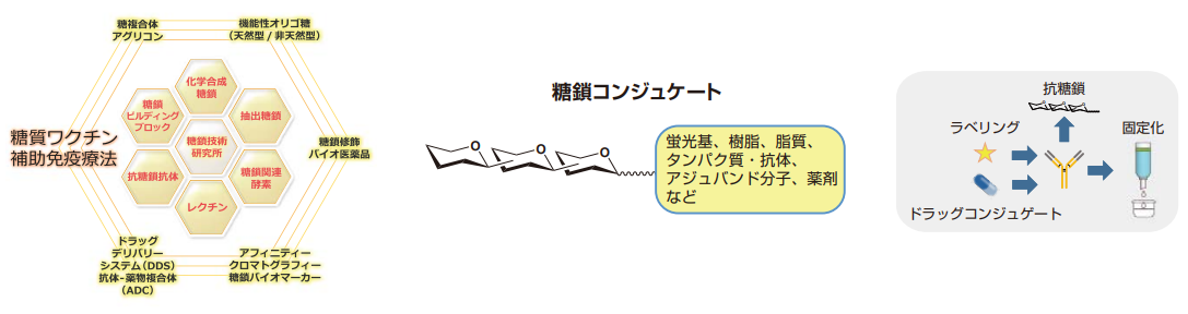 糖鎖関連の実績・対応分野例