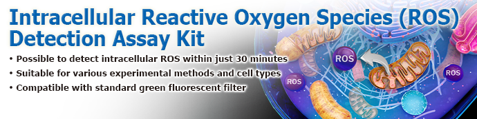 Intracellular Reactive Oxygen Species (ROS) Detection Assay Kit