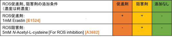 ROS促進剤とROS阻害剤の添加条件