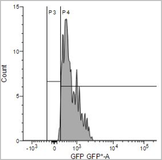 Detection of ROS in NIH-3T3 cells not treated with a ROS inducer by flow cytometer