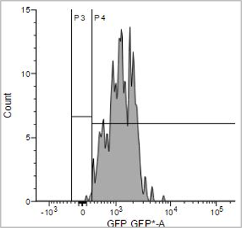 Detection of ROS in NIH-3T3 cells treated with a ROS inducer by flow cytometer