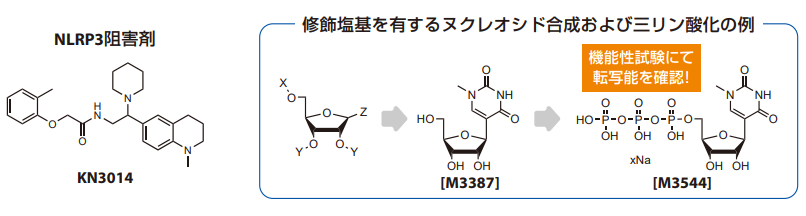 創薬関連の実績・対応分野例