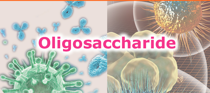 Oligosaccharide