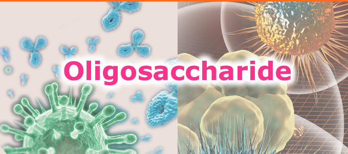 Oligosaccharide