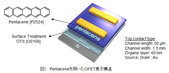 Pentaceneを用いたOFET素子構造