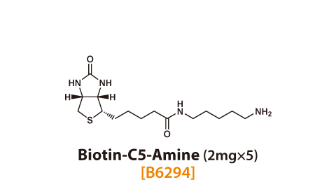 Biotin-C5-Amine