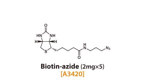 Biotin-azide