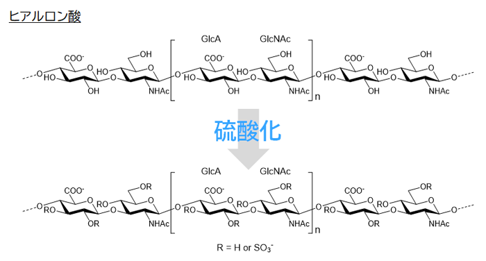 糖鎖トピックス】高硫酸化ヒアルロン酸に新たな機能 | 東京化成工業株式会社