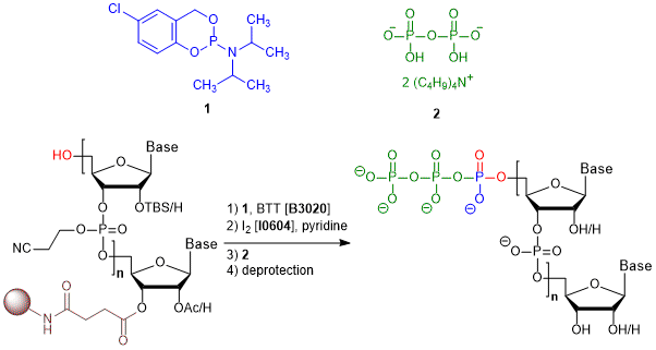 新しい三リン酸化試薬 | 東京化成工業株式会社