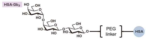 Sugar_Conjugates_01