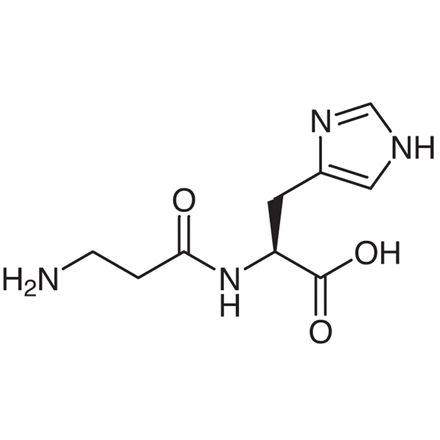 beta-Alanyl-L-histidine No-Image