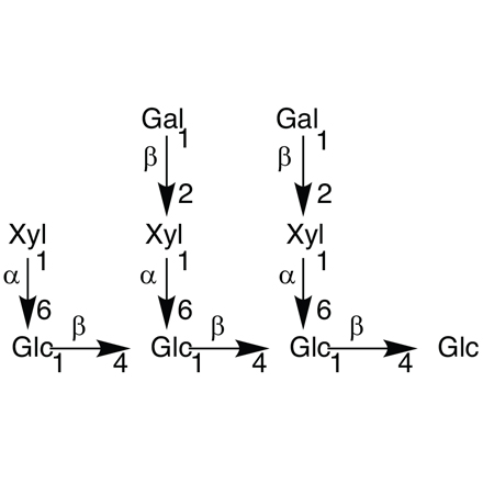 Nonasaccharide Glc4Xyl3Gal2 Chemical Structure of Nonasaccharide Glc4Xyl3Gal2
