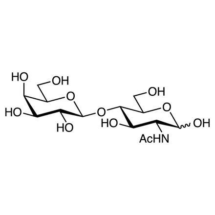 N-Acetyllactosamine No-Image